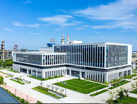 项目展示